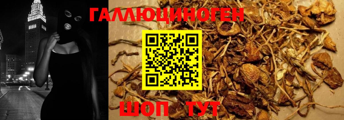 Галлюциногенные грибы Magic Shrooms Екатеринбург